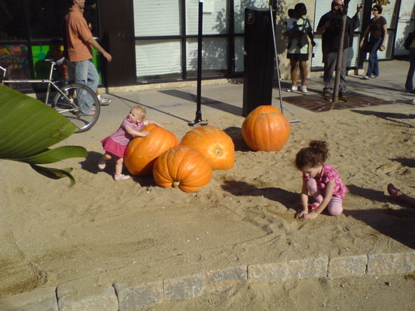 Children Playing Amongst the Pumpkins