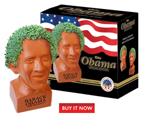 Chia Obama Chia Obama