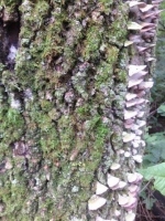 CAM01843.jpg