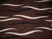 Cabin_carpet.JPG