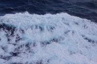 Froth.JPG