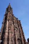 DSC01824Ed.jpg