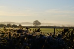 DSC03041.JPG