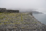 DSC03132.JPG