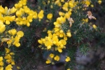 DSC03164.JPG
