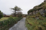 DSC03165.JPG