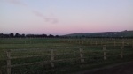 IMG-20200129-WA0045.jpg