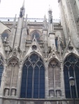 DSCF1131.jpg