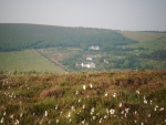 DSCF1483.jpg