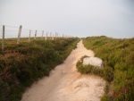 DSCF1504.jpg