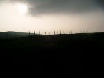 DSCF1507.jpg