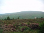 DSCF1547.jpg