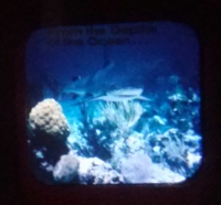 From the depths of the ocean...