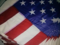 Levin July 4th party