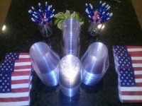 Levin July 4th party