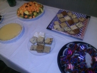 Levin July 4th party