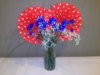 Levin July 4th party