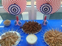 Levin July 4th party