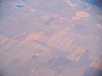 Or is THIS the Kandinsky?